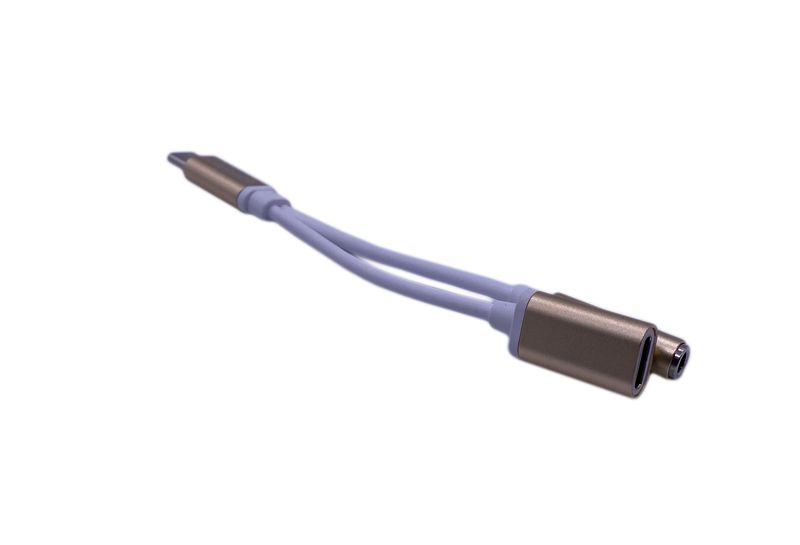 USB Type C To AUX And Type C - Champagne