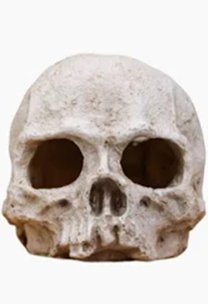 Skull Shaped Aquarium Decoration For Fish Tank, Reptile Enclosure Or Home