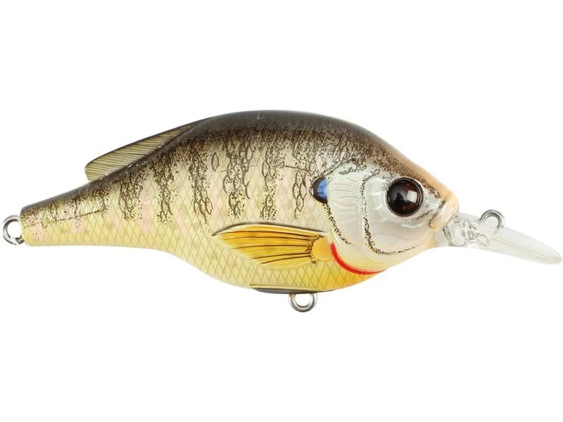 Live Target - Sunfish Crankbait- Bluegill - S- 70mm