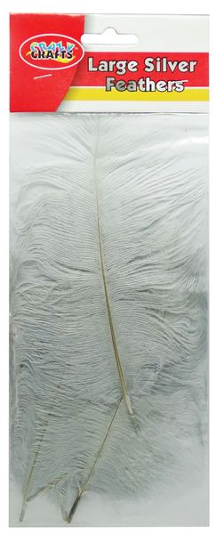 Large Silver Feathers