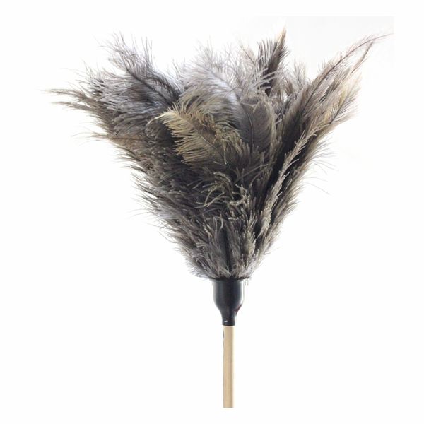 Ostrich Feather Duster - Short Rod