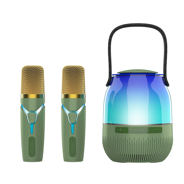 LED Lamp Bluetooth 5.3 Portable Wireless Speaker with 2 Wireless Microphone