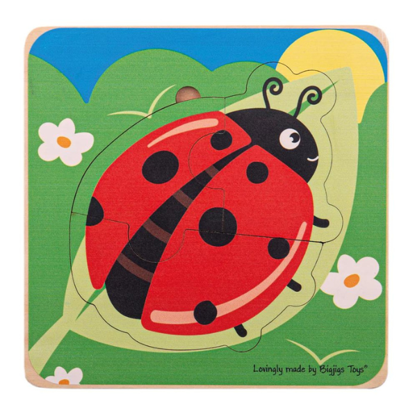BigJigs - Life Cycle Ladybug Puzzle