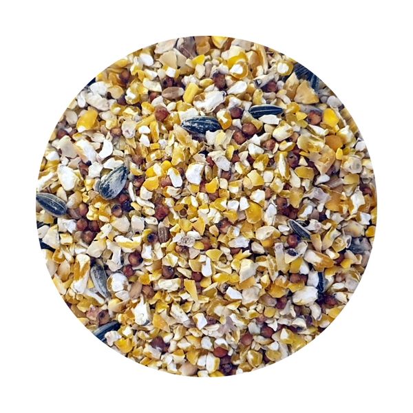 Goldwing Poultry Mix