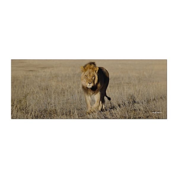 Early morning Stroll Large Desk Pad By Annette Heymans