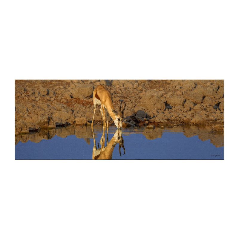 Springbok Reflection Desk Pad by Fanie Heymans | Shop Today. Get it ...