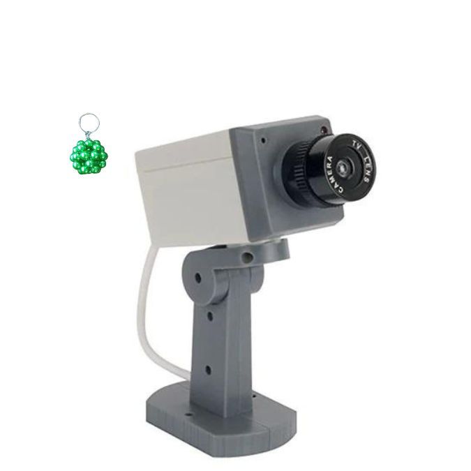 Motion Detection Realistic Looking Security Dummy Camera And A ...