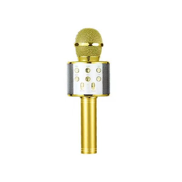 Wireless Bluetooth Microphone for Kids - Ideal for Home Karaoke