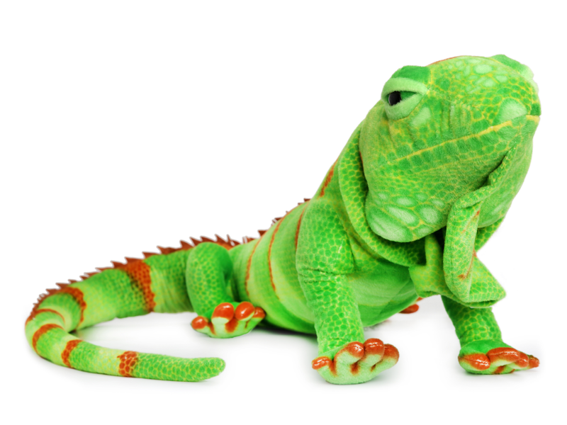 Ignacio the Iguana - Plush Toy