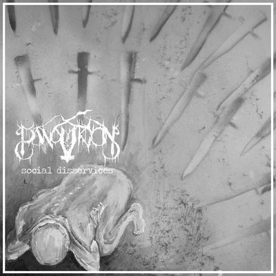 Social Disservices (Vinyl / 12" Album)