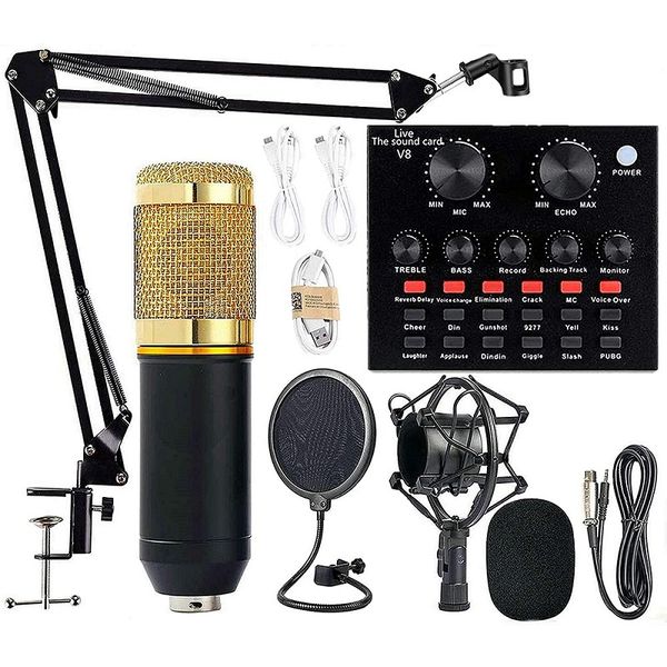 Professional Condenser Microphone Kit for Home, KTV &amp; Streaming
