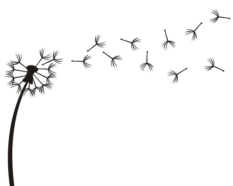 Fantastick - Dandelion Vinyl Wall Art - White
