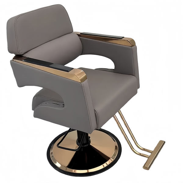 Salon Chair Heavy Duty for Stylist, Chair 360 Degree Swivel, Hydraulic