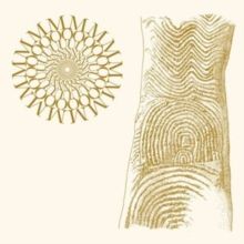 Flowers Rot, Bring Me Stones (Vinyl / 12" Album Coloured Vinyl)