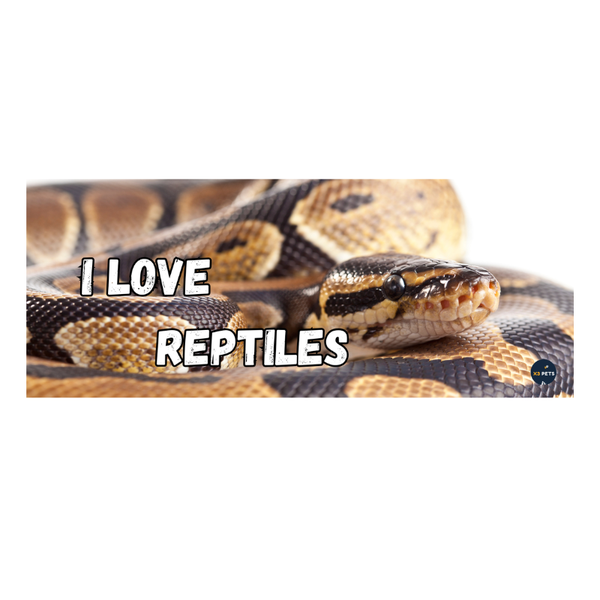 Reptile Cage Sign - "I Love Reptiles" (Snake)