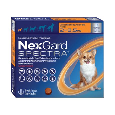 Nexgard spectra medium fashion dog