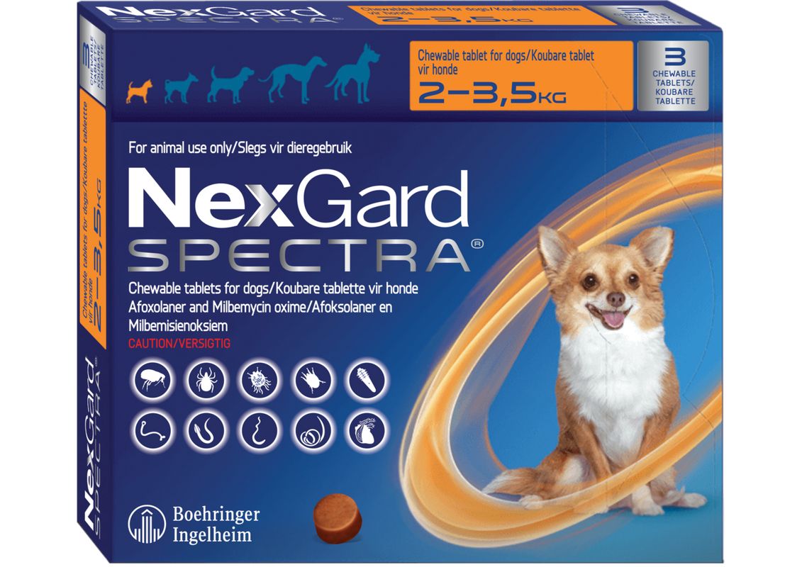 how often should i give my dog nexgard