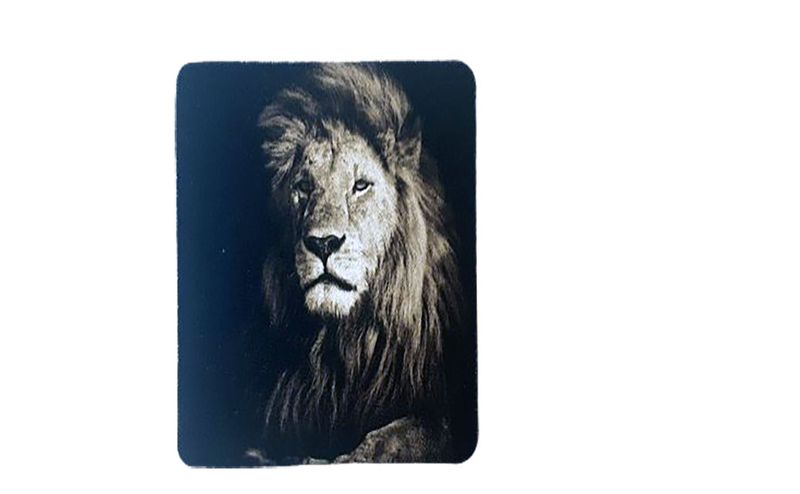 South African Big 5 Wildlife Neoprene Coasters