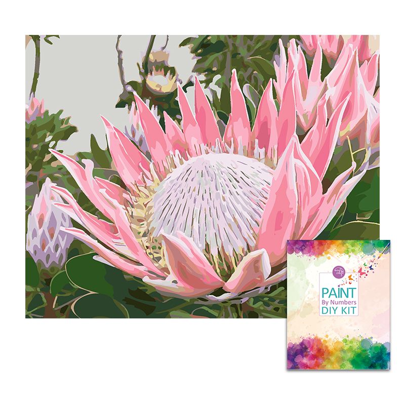Easy Craft Paint by Number DIY Kit, 50x40cm Protea Pink, Red, White