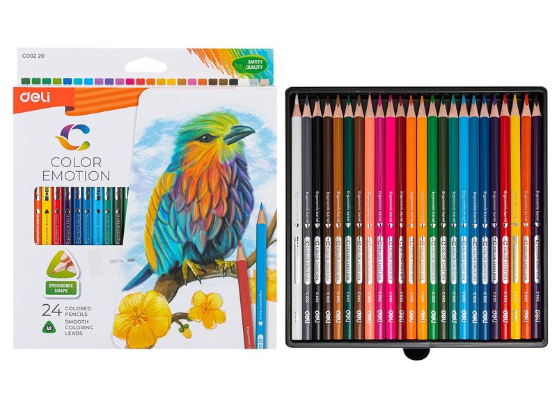 Colour Pencils 24pk - 00220