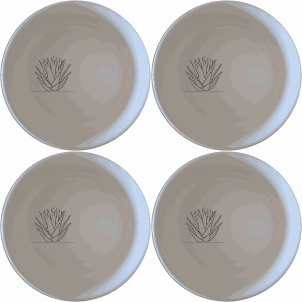 Aloe Ferox Flower Spike Bowl Set of 4 - Range 4