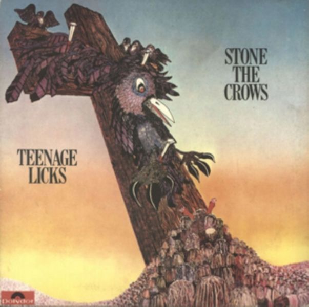 Teenage licks (Vinyl / 12" Album)