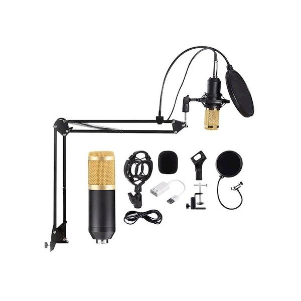Professional MIC 7 Condenser Microphone