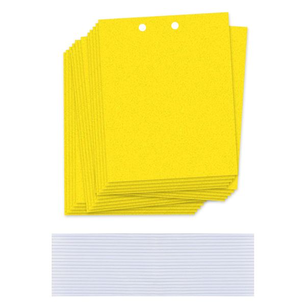 20Pcs Dual Sticky Traps Big Size with Twist Ties for Fruit Fly for Plant