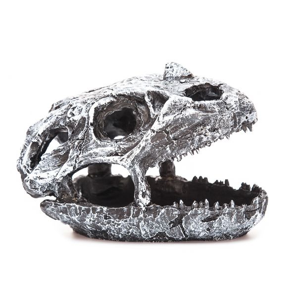 Dinosaur Skull for Terrarium