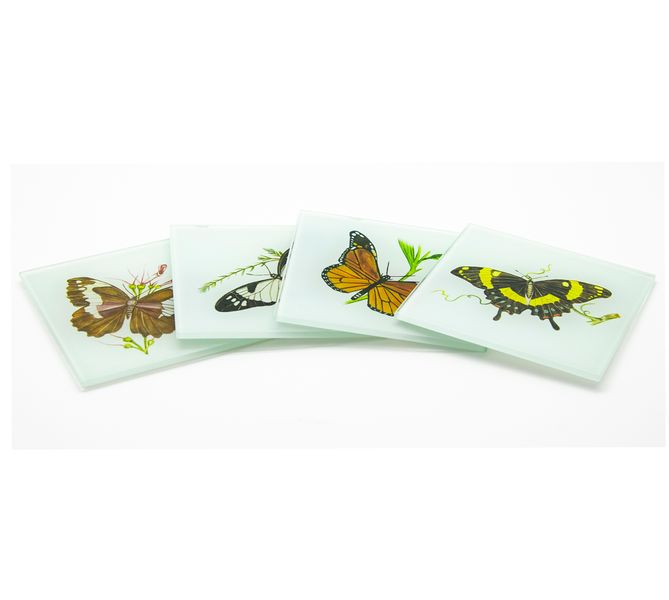 Ithambo Wildlife Safari Butterflies Insect Artwork 4pc Glass Coasters Set