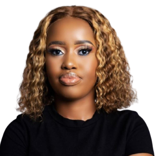 Full Frontal Highlight Brazilian Curly Wig.