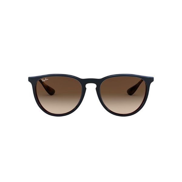 Ray-Ban Erika RB4171 631513 54 Sunglasses