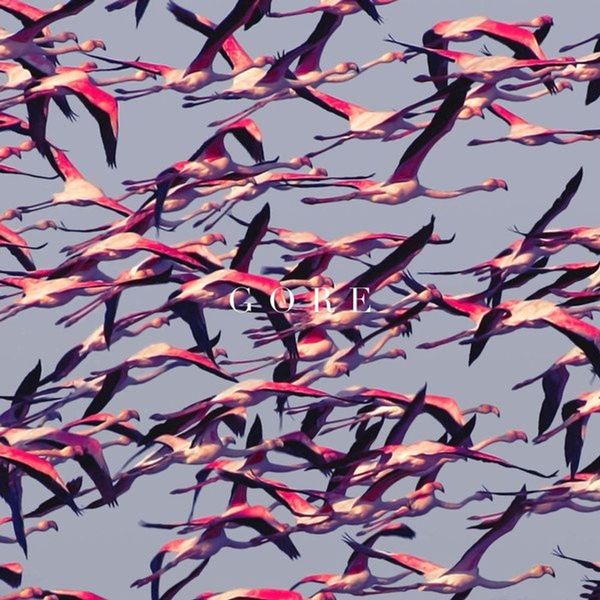 Deftones - Gore 2LP Vinyl Album Gatefold Edition
