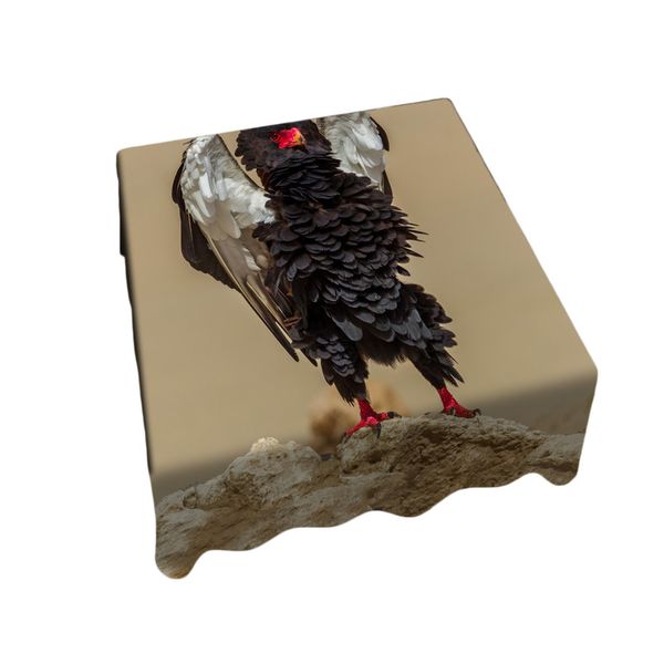 Bateleur Pronk Middle Square Tablecloth by Fanie Heymans