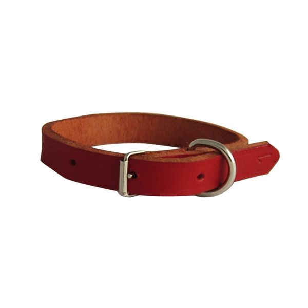 Dog Collar - Assorted Colours - #1 - 300mm - 2 Pack