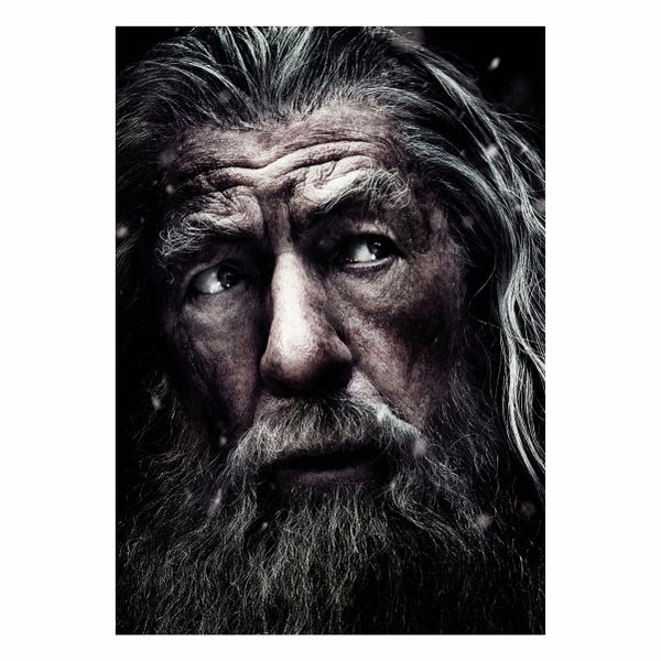 The Hobbit Portrait - A1 Poster