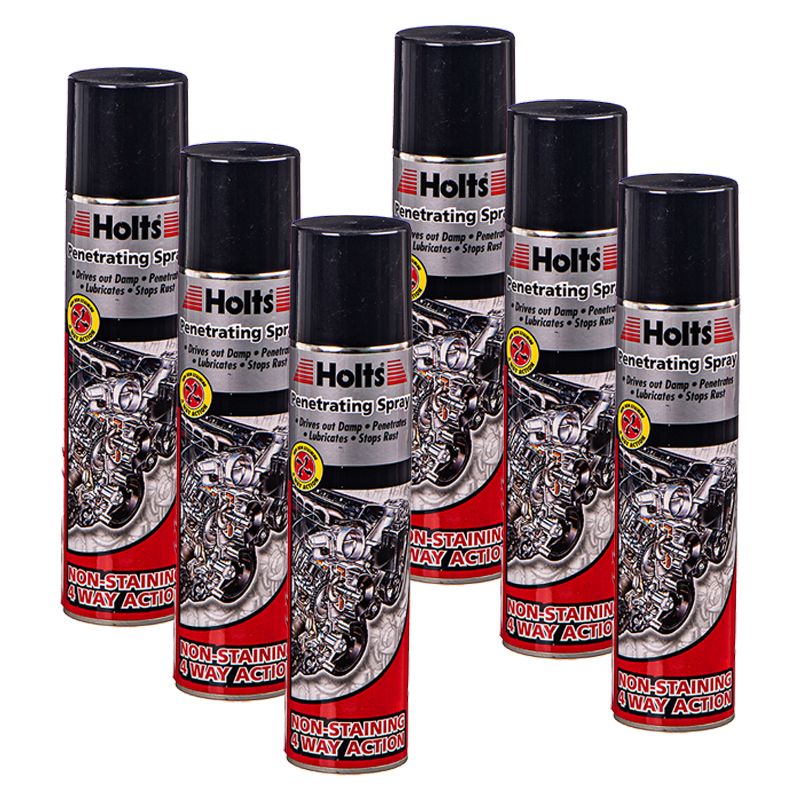 Holts Spray (250ml) 6 Pack Shop Today. Get it Tomorrow