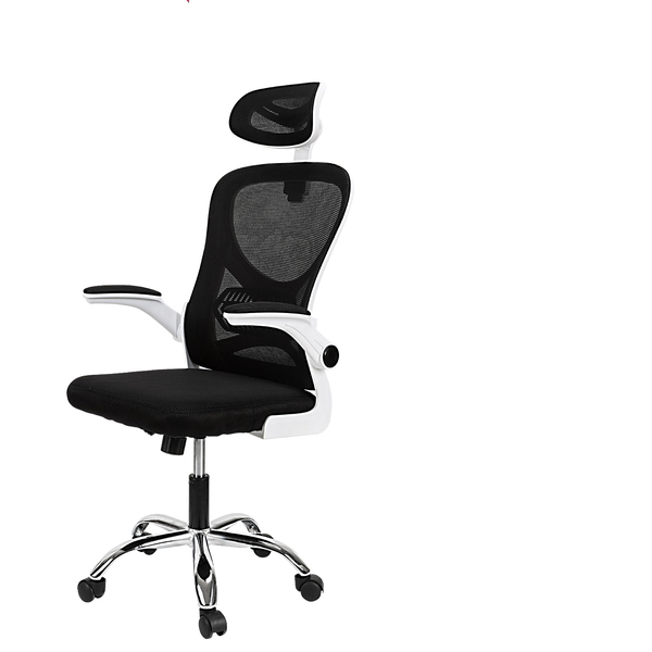 DELI Ergonomic Office Chair, Mesh Back, Adjustable Height &amp; Lumbar Support