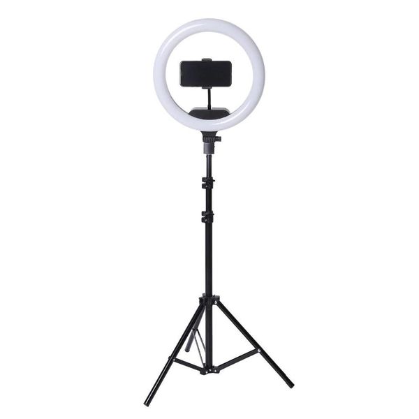 Ring Light with Stand 13 Inch