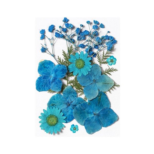 Pressed Dried Flowers, Style 8.8