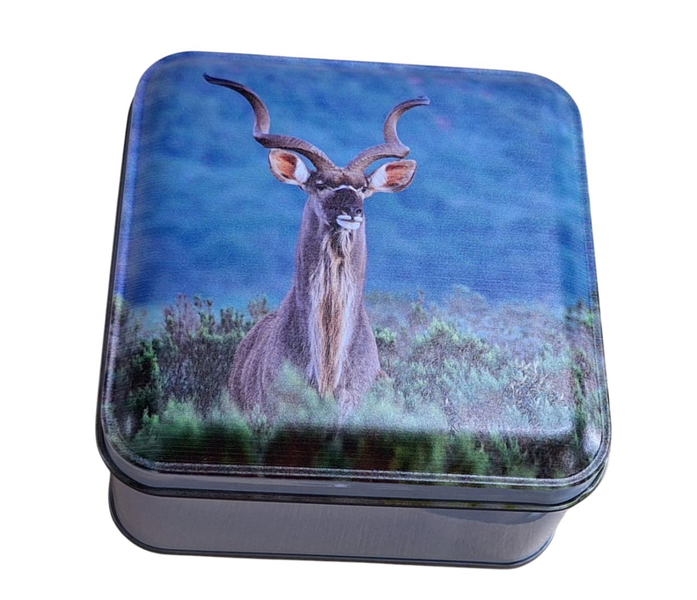 Small Custom Storage Tin 10 x 10 cm - Kudu in the Wild