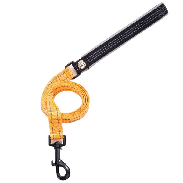 Bright Nylon Dog Lead with Black padded Handle - Orange