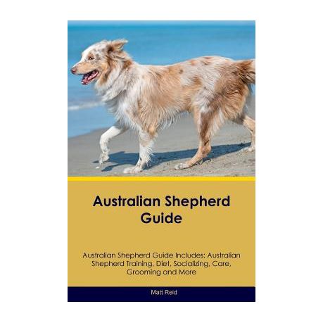Australian Shepherd Guide Australian Shepherd Guide Includes Australian Shepherd Training Diet Socializing Care Grooming Breeding And More Buy Online In South Africa Takealot Com
