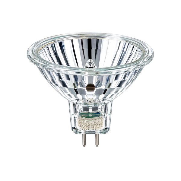 ACDC - 24V 50W MR16 Low Voltage Halogen Lamp 35 Degree Open Type
