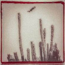 La Cruzada (CD / Album)