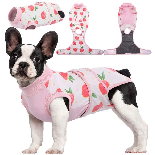 Dog Cat Surgery Recovery Suit | Anti-Lick Bodysuit | Cone Alternative | S