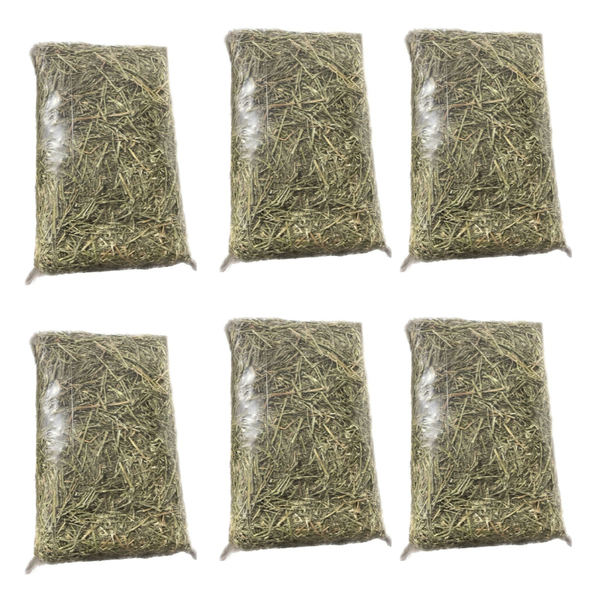 Lucerne Bedding for Bunnies and Chinchillas 6 Pack