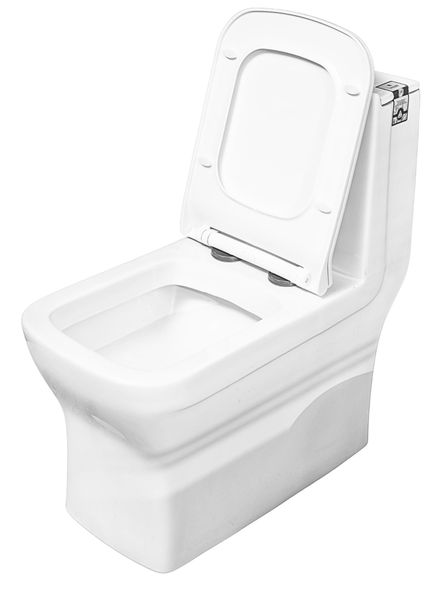 SENISTO SPONO One Piece Water Closet Toilet Soft-Close Seat Quick Release