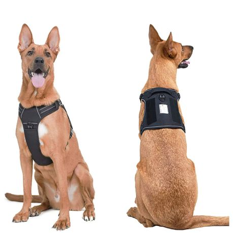 Professional service dog outlet vest