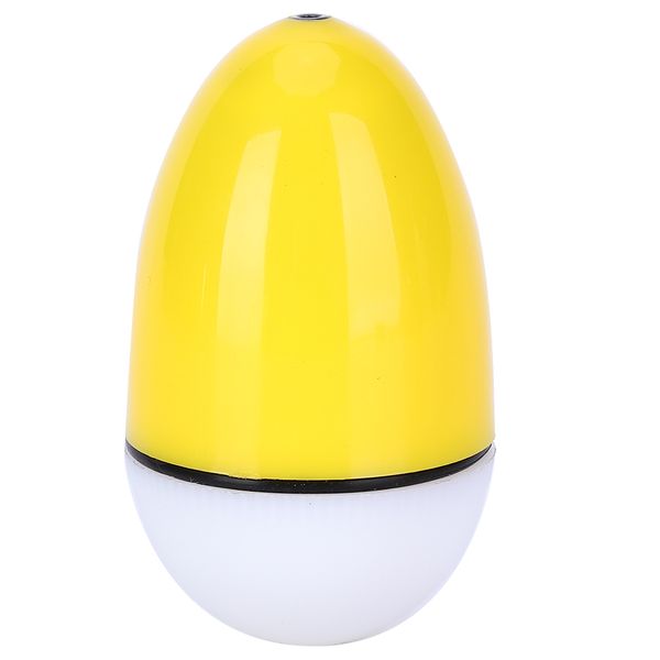 Night Fishing Float Luminous Electronic for Long Range